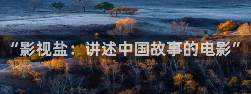 九七影院网站：“影视盐：讲述中国故事的电影”