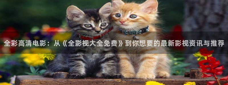 九七电影手机正版：全彩高清电影：从《全影视大全免费》到你想要的最新影视资讯与推荐