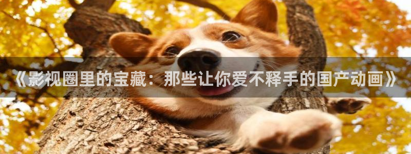 九七高清电影：《影视圈里的宝藏：那些让你爱不释手的国产动画》