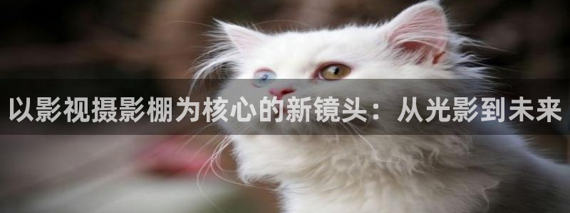 九七理论大片