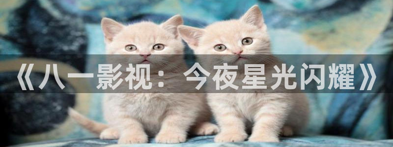 电影在线九七：《八一影视：今夜星光闪耀》